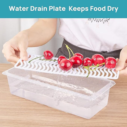 Fridge Organizer Box with Drain Plate